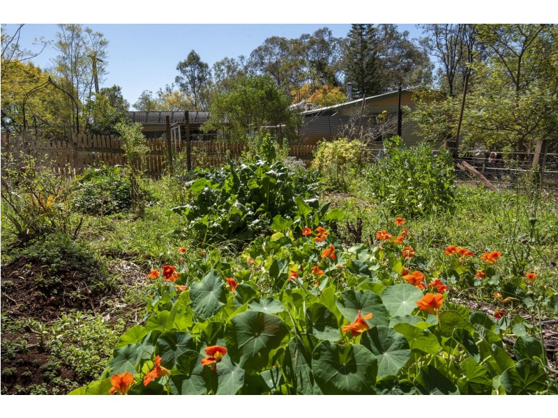 17 Koreelah Street, Upper Lockyer QLD 4352