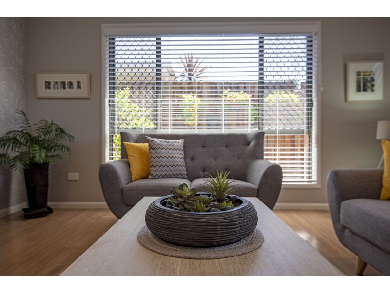 1/19 Bowtell Street, Rangeville QLD 4350