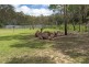 210 Goombungee Mount Darry Road, Kilbirnie QLD 4354