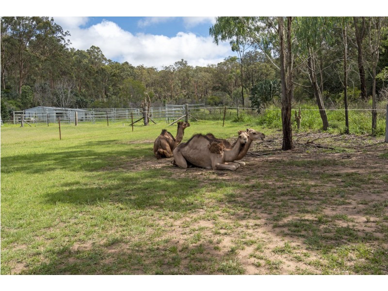 210 Goombungee Mount Darry Road, Kilbirnie QLD 4354