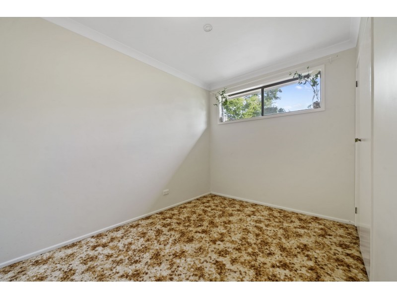 1 Collard Court, Darling Heights QLD 4350