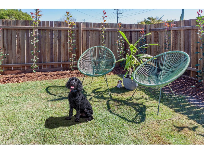 8 Aster Street, Centenary Heights QLD 4350