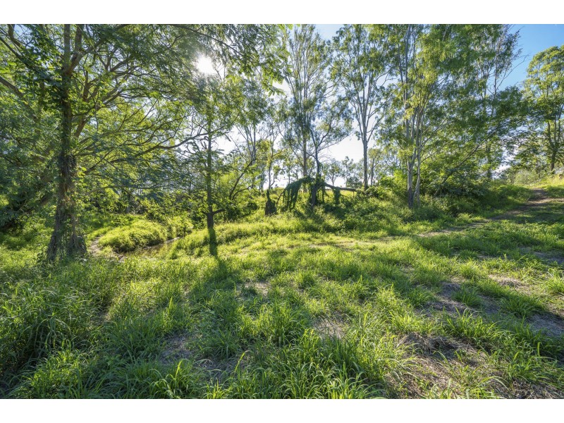 Lot 39, 73 Parkridge Drive, Withcott QLD 4352