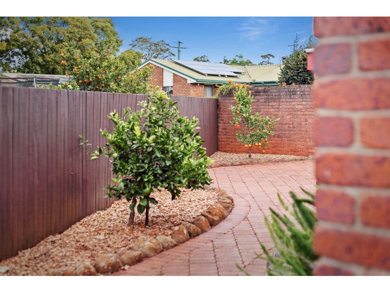 10 Diane Court, Centenary Heights QLD 4350