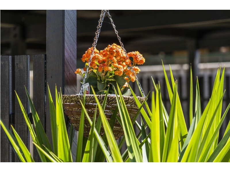 61 John Street, Goombungee QLD 4354