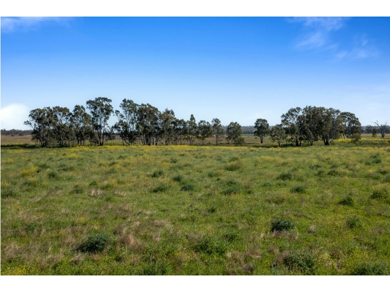 10 Seibel Lane, Pratten QLD 4370