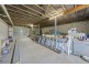3 Grasmere Court, Mount Lofty QLD 4350