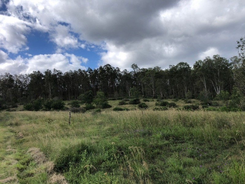 Jessie Lane, Murphys Creek QLD 4352