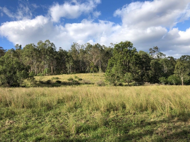 Jessie Lane, Murphys Creek QLD 4352