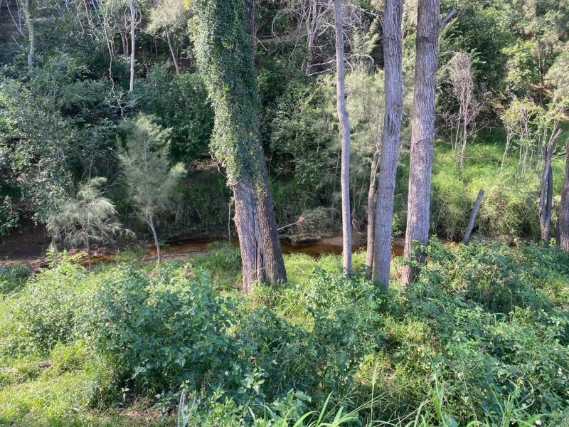 Jessie Lane, Murphys Creek QLD 4352