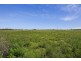 LOT 301 Crighton Road, Biddeston QLD 4401