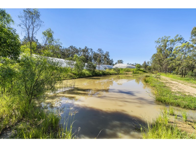 105 Koreelah Street, Upper Lockyer QLD 4352