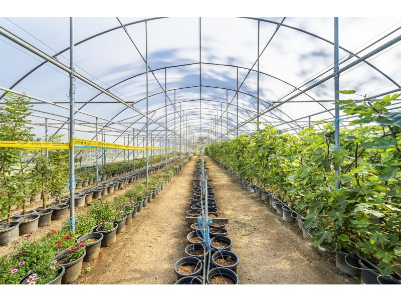 105 Koreelah Street, Upper Lockyer QLD 4352