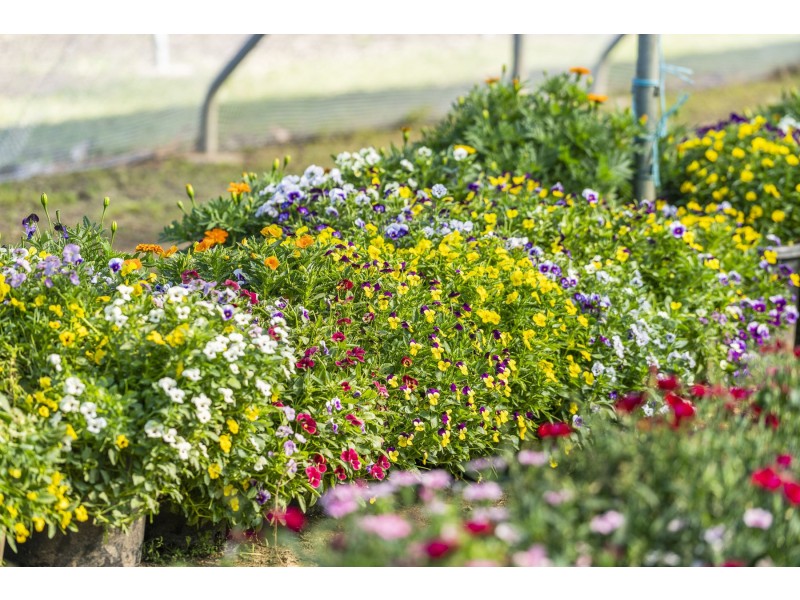 105 Koreelah Street, Upper Lockyer QLD 4352