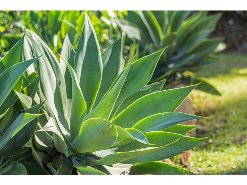 105 Koreelah Street, Upper Lockyer QLD 4352