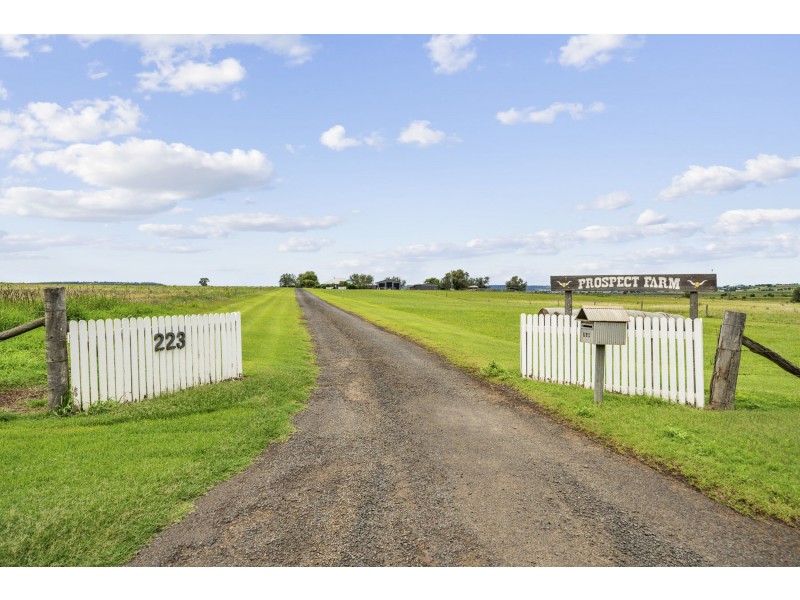 223 Love Road, Wyreema QLD 4352
