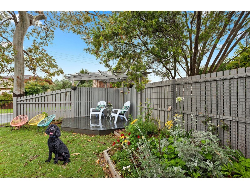 1 Talgai Court, Newtown QLD 4350