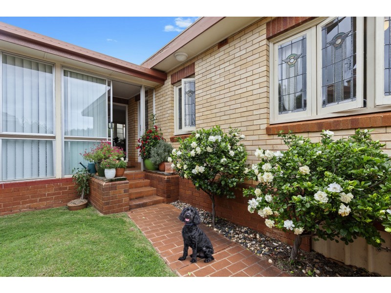 12 Burke Street, Rangeville QLD 4350