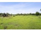 1 Jack Court, Murphys Creek QLD 4352
