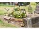 14 Goombungee-Meringandan Road, Meringandan West QLD 4352