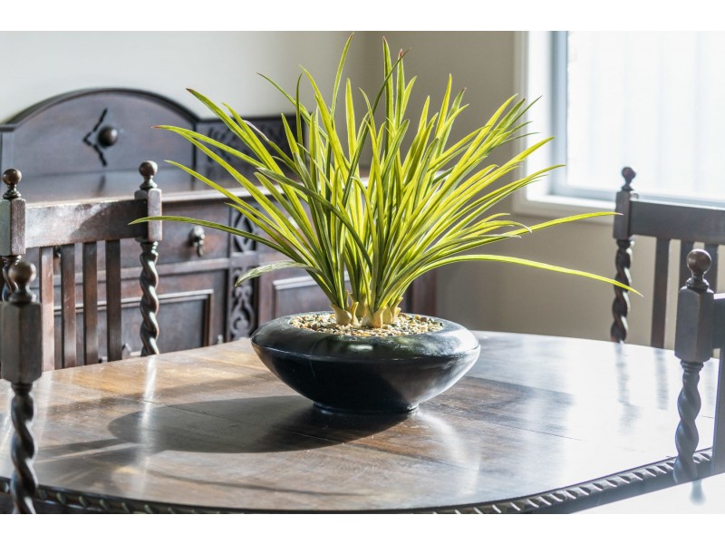 2 Dahlia Court, Middle Ridge QLD 4350