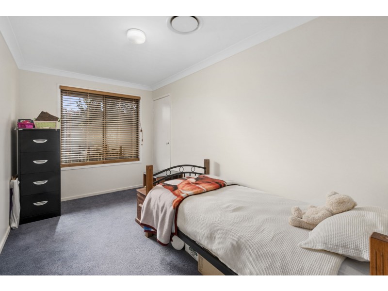 19 Cypress Street, Rangeville QLD 4350