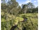 62 Penfolds Road, Murphys Creek QLD 4352