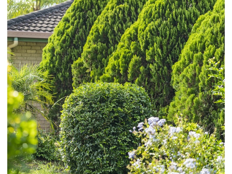 18 Folbigg Court, Lake Clarendon QLD 4343
