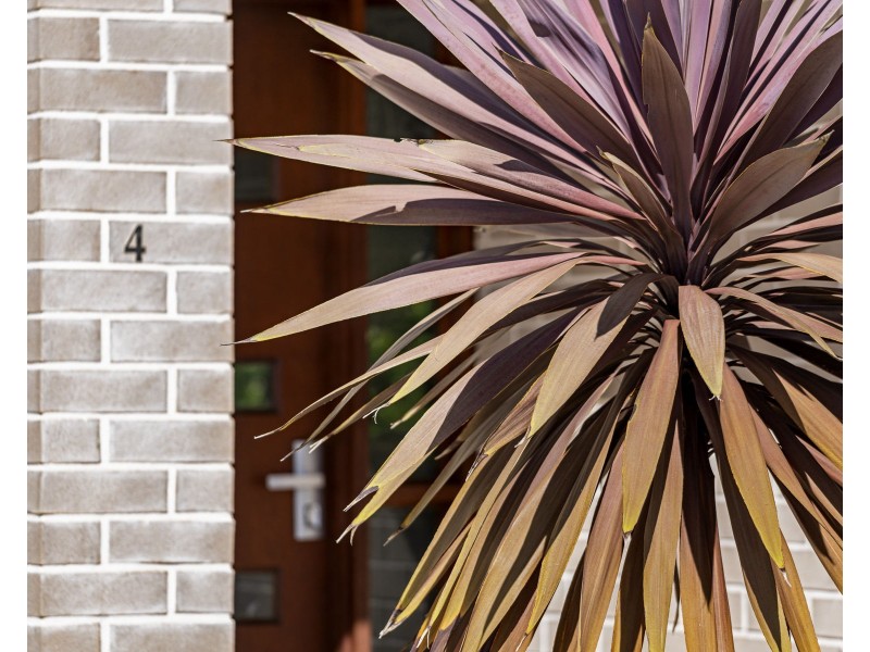 4/440 Hume Street, Middle Ridge QLD 4350