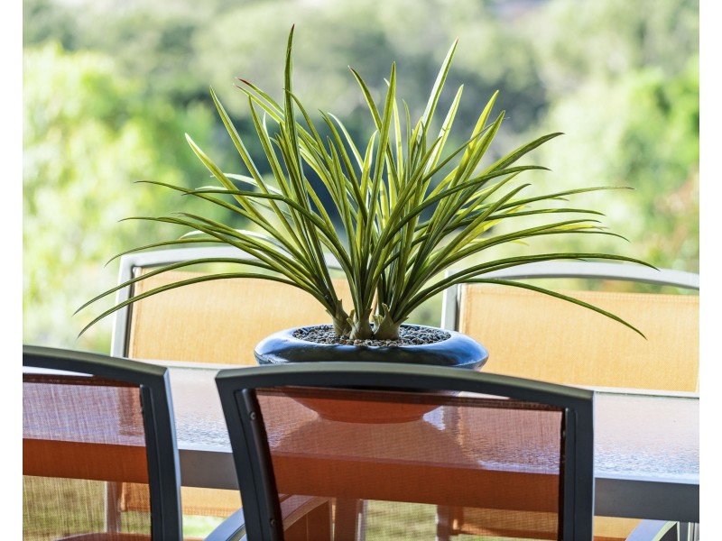 20 Holly Avenue, Highfields QLD 4352