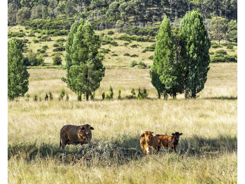 810 Goombungee Mount Darry Road, Kilbirnie QLD 4354