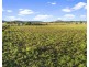 30 Bell Road, Greenmount East QLD 4359