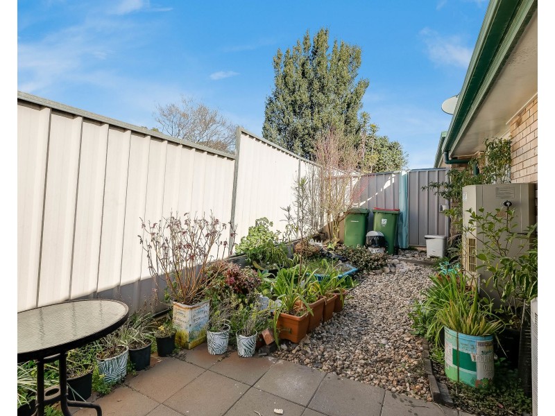 16/19A Gladstone Street, Newtown QLD 4350