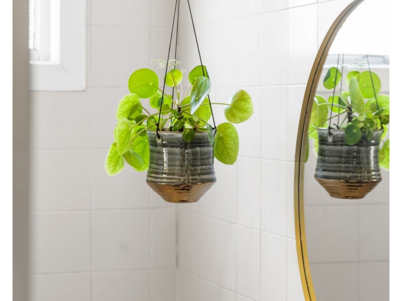 123 West Street, Newtown QLD 4350