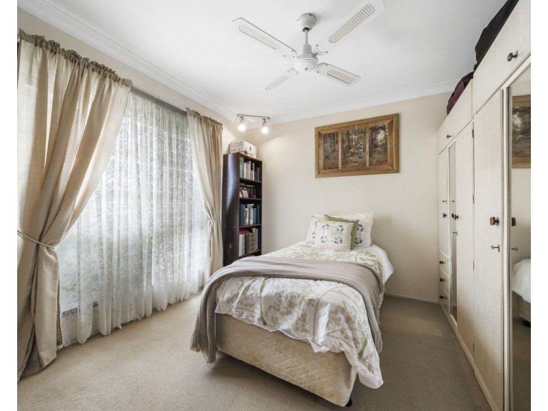 14 Poinciana Street, Newtown QLD 4350