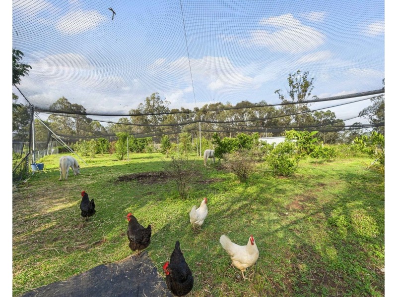 26 Karina Street, Placid Hills QLD 4343