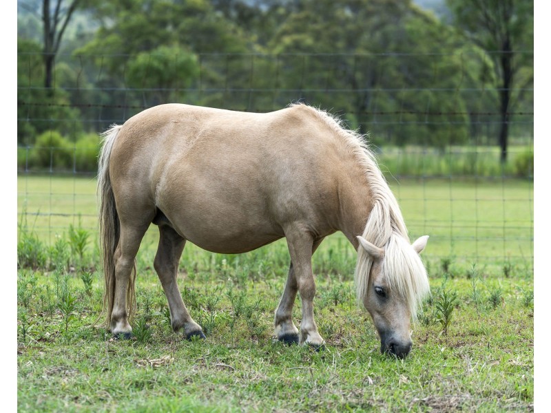 26 Karina Street, Placid Hills QLD 4343