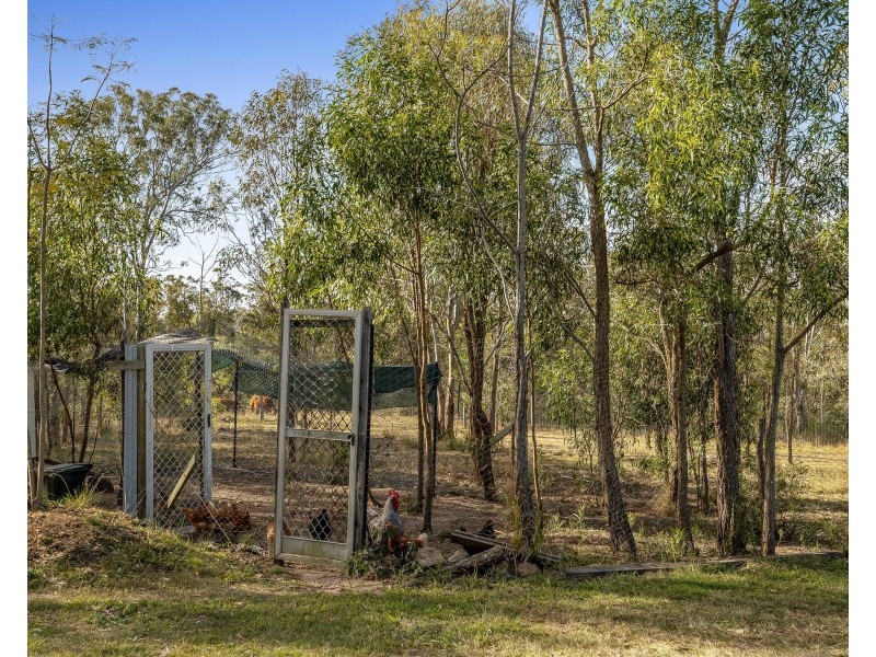 664 Pierces Creek Road, Pierces Creek QLD 4355