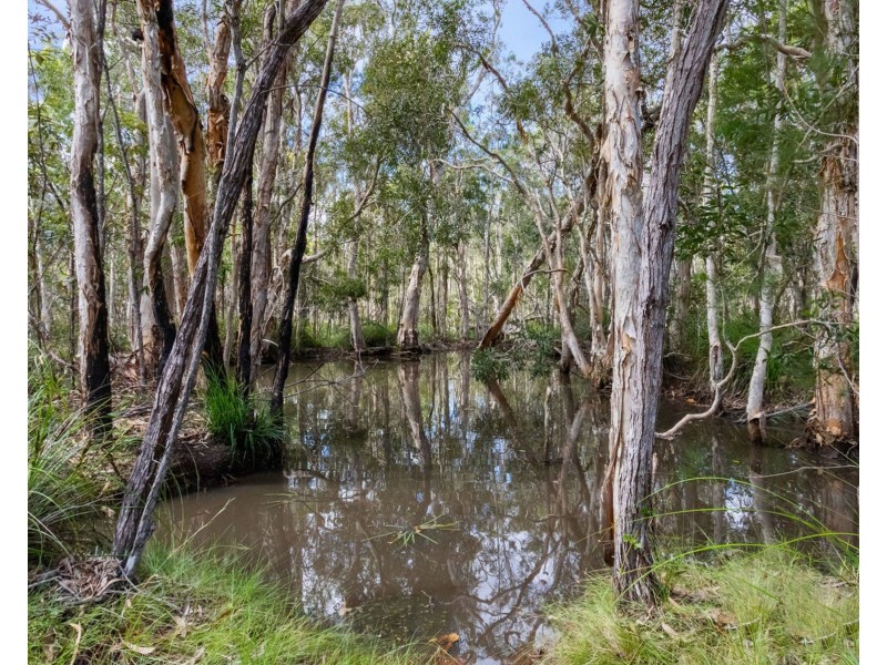 13 Prawle Street, Howard QLD 4659