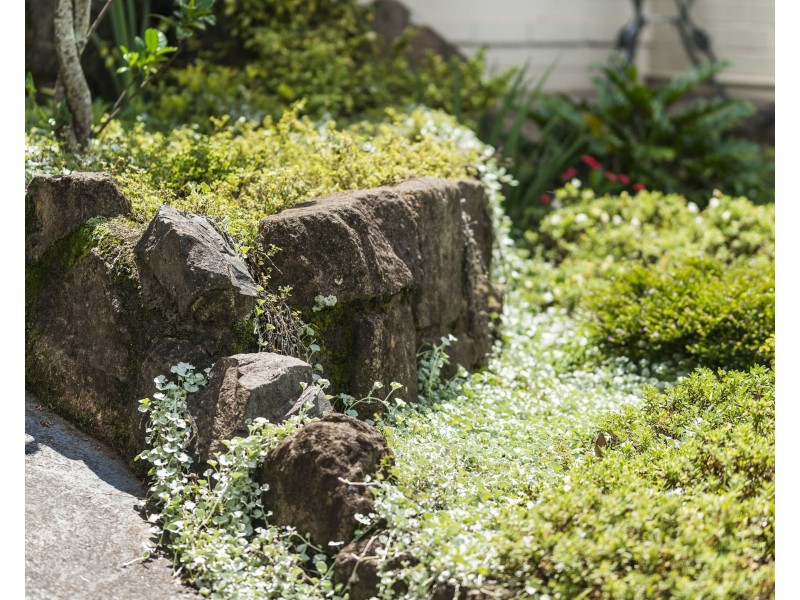 3 Lockhart Court, Harristown QLD 4350