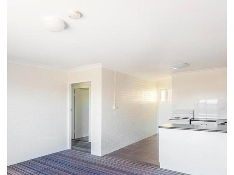 1, 2, 3 & 4/123 South Street, Centenary Heights QLD 4350