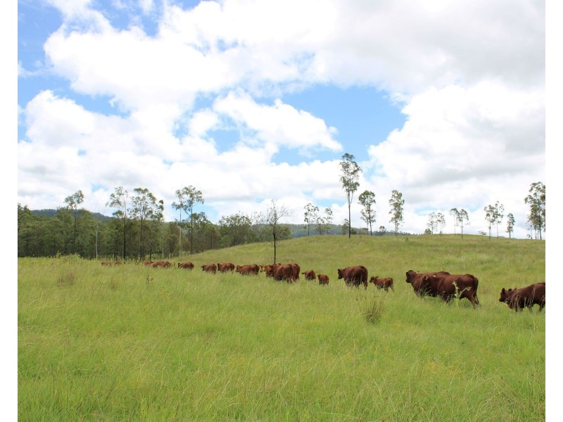 Cnr Kerwitz & Baker Road, Rosevale QLD 4340