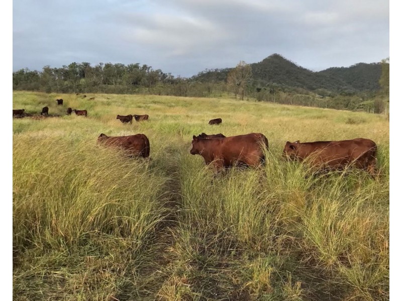Cnr Kerwitz & Baker Road, Rosevale QLD 4340