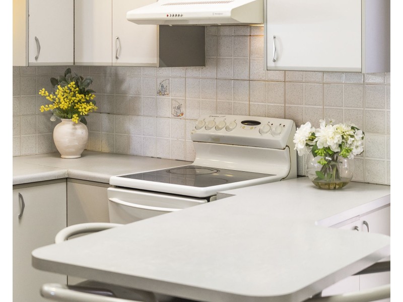 19 Dodd Street, Newtown QLD 4350