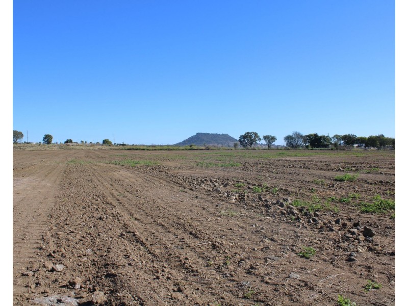 156 Heinemann Road, Wellcamp QLD 4350