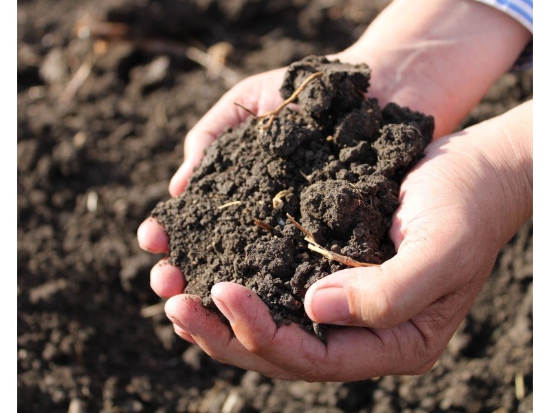 Whiteway Road, Forest Hill QLD 4342