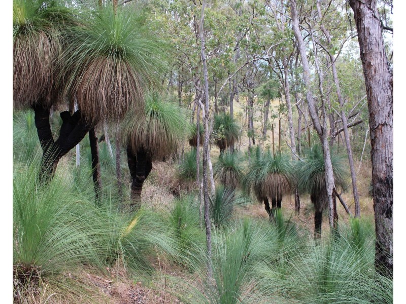 Lot 355 Cunningham Highway, Tarome QLD 4309