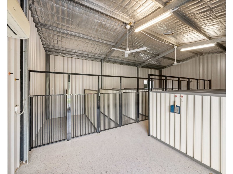 243 Postmans Ridge Road, Postmans Ridge QLD 4352