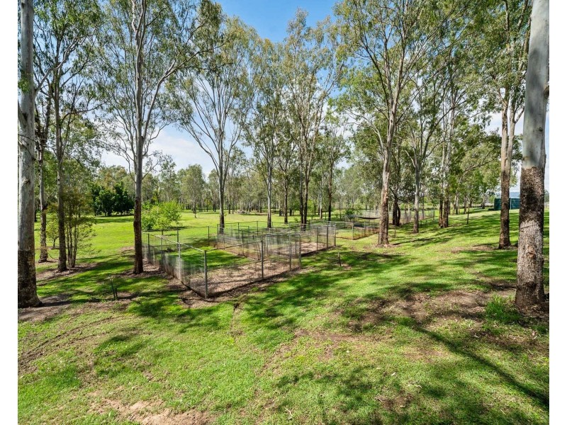 243 Postmans Ridge Road, Postmans Ridge QLD 4352