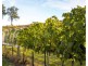 1 Ross St, Leyburn QLD 4365